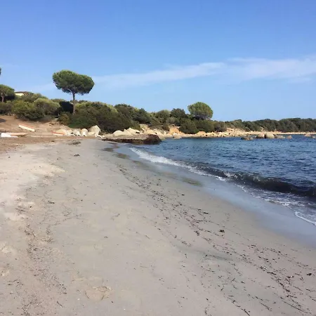 Βίλα Ucellu Sur 600 M2 Avec Acces Privilegie Et Piscine Privee Chauffee *