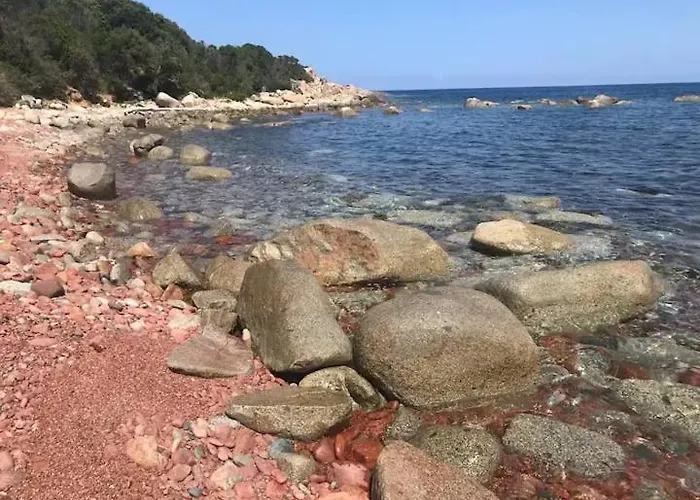 Ucellu Sur 600 M2 Avec Acces Privilegie Et Piscine Privee Chauffee
